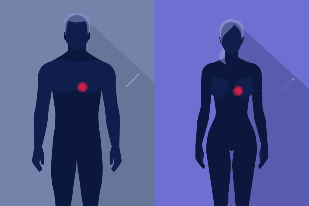 Heart Health Differences Between Men &&nbsp;Women